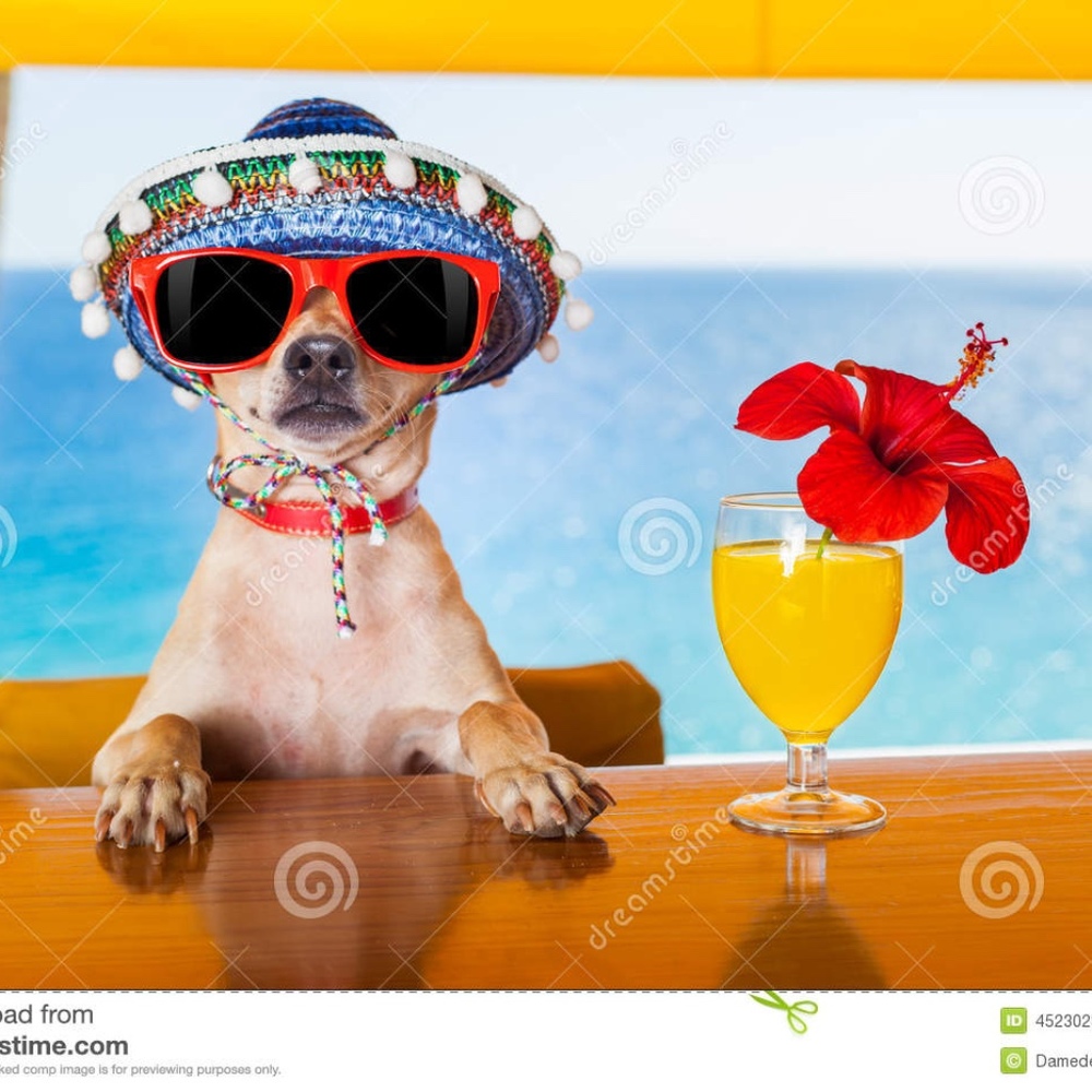 Meet your Posher, Caroline